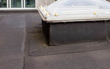 disadvantages of Fishpond Bottom flat roofs