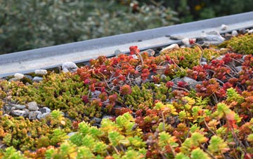 the cost of Fishpond Bottom green roof installation