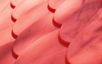 Fishpond Bottom plastic roof costs