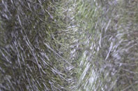 Fishpond Bottom fibreglass roof work