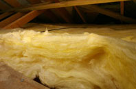 Fishpond Bottom pitch roof insulation
